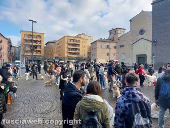 Viterbo - Golden retriever al Sacrario