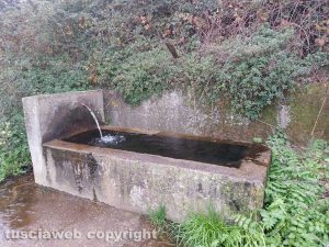 Viterbo - Fontanile a Castel d'Asso nel degrado
