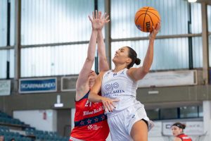 Sport - Cutrupi - Ants Basket