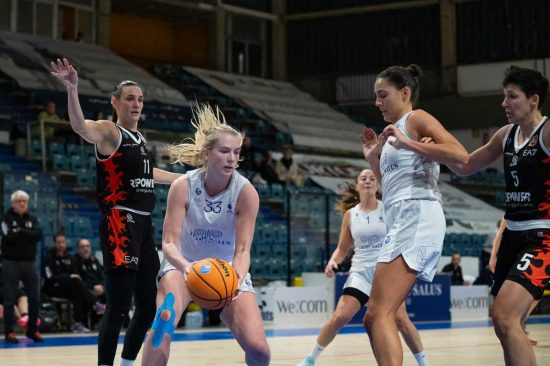 Sport - Basket - Ants