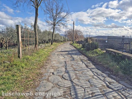 Montefiascone - La via Francigena in località Paolettii