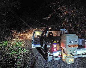 Acquapendente - Protezione civile - Tre alberi caduti