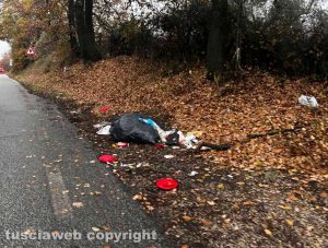 Immondizia sulla Ss1 Bis