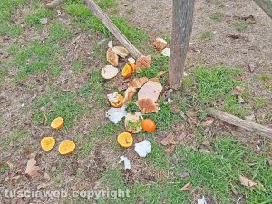 Viterbo - Immondizia a terra al parcheggio delle Piscine Carletti