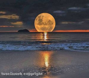 Luna sul mare