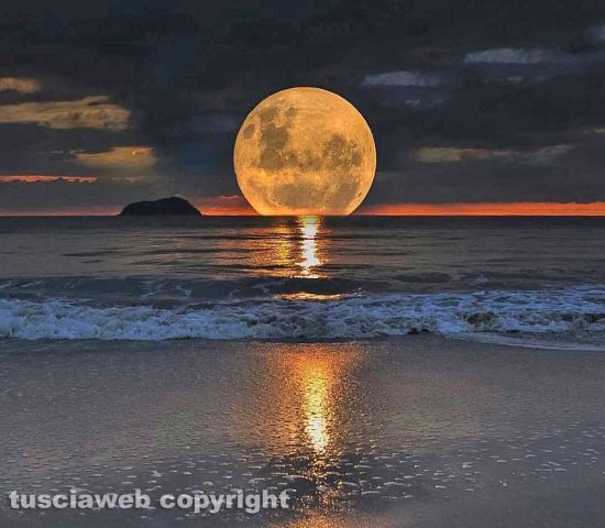 Luna sul mare