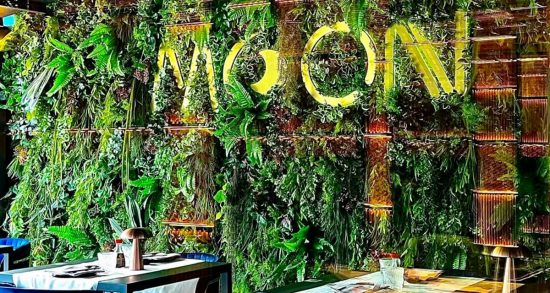 Moon sushi arriva a Viterbo