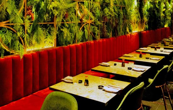 Moon sushi arriva a Viterbo