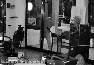 Viterbo - Nuovo tentativo di furto allo Shape salon in via Garbini