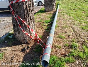 Viterbo - Il palo caduto