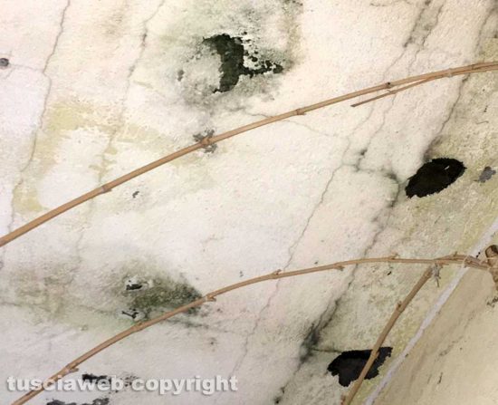 Viterbo - Infiltrazioni in un appartamento di via Carlo Cattaneo
