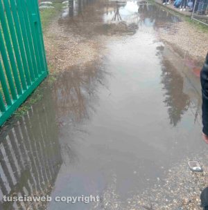 Viterbo - Acqua all'uscita della scuola elementare dell'Ellera