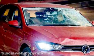 Viterbo - Investito e ucciso mentre passeggia con il cane in via Rossini - La Volkswagen Polo rossa