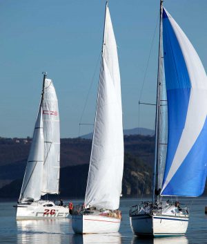 Vela - Imbarcazioni sul lago di Bolsena