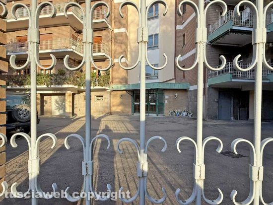 Viterbo - Via Palmanova - Rose bianche sotto l'abitazione di Artem Shyliuk