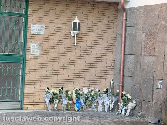 Viterbo - Via Palmanova - Rose bianche sotto l'abitazione di Artem Shyliuk