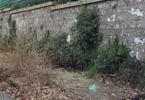 Viterbo - Via Monti Cimini - Il marciapiedi degradato