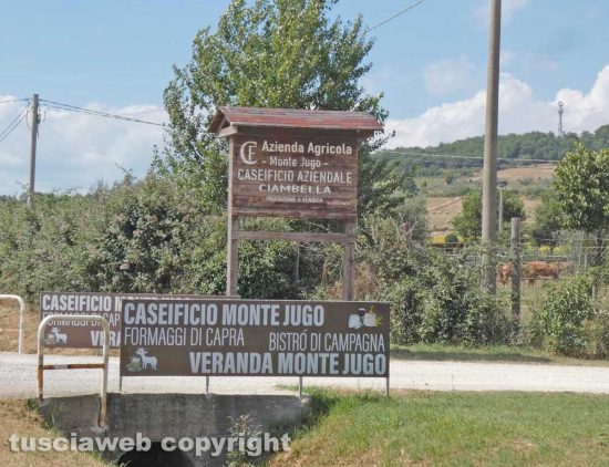Le terme del Bacucco - L'azienda agricola Monte Jugo