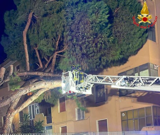 Civitavecchia - Grossi pini crollano su una palazzina, notte di lavoro per i vigili del fuoco.