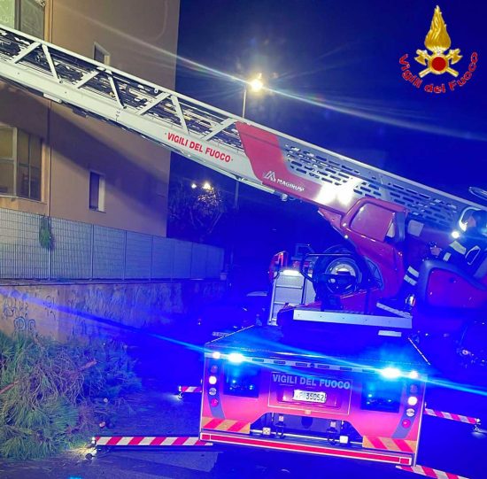Civitavecchia - Grossi pini crollano su una palazzina, notte di lavoro per i vigili del fuoco