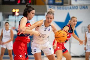 Sport - Ants basket - Torodova