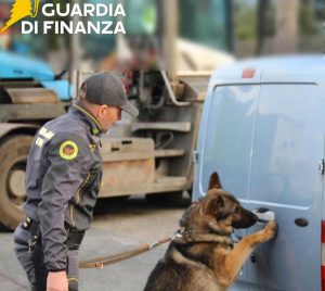Guardia di finanza - Il cane antidroga Frida