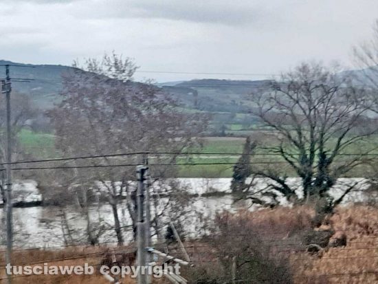 Il Tevere fa paura, tracimazioni tra Orte Scalo e Gallese