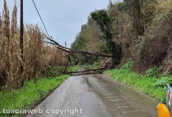 Maltempo - Roccalvecce e Sant'Angelo dimenticate e disastrate - Strada interrotta