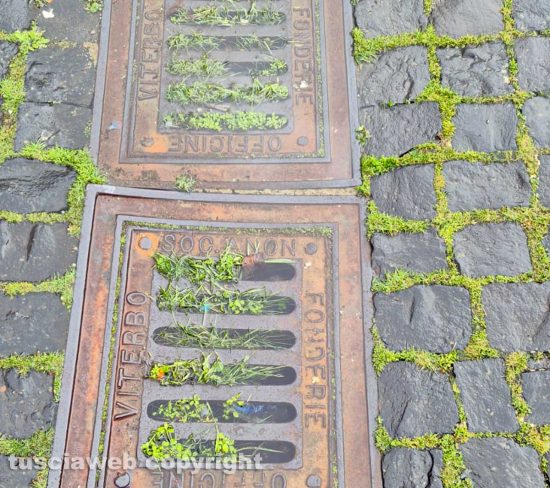 Maltempo - Roccalvecce e Sant'Angelo dimenticate e disastrate