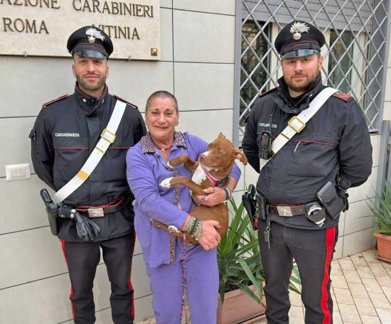 La riconsegna del cucciolo di pitbull