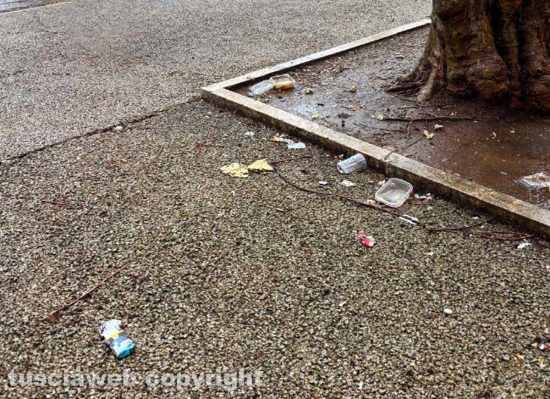 Viterbo - Sporcizia in viale Trento