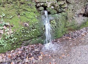 Perdita d'acqua in strada Signorino