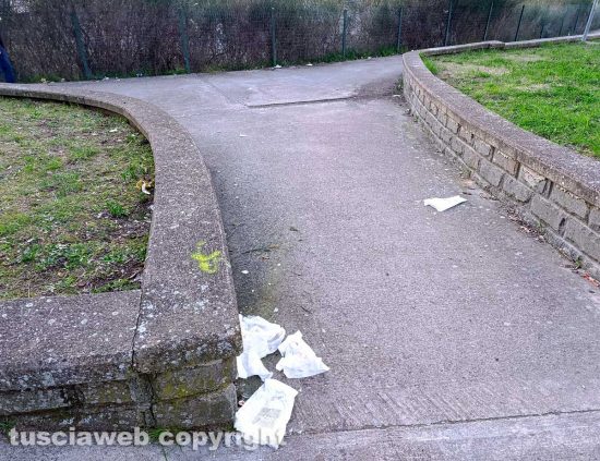 Viterbo - Sporcizia a ridosso del parcheggio dell'Ipercoop