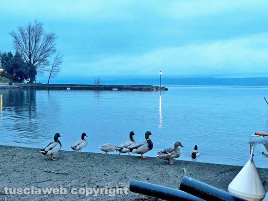 Marta - Oche sul lago di Bolsena