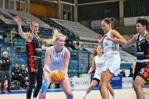 Ants Basket in campo