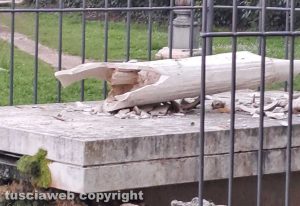 Civita Castellana – Distrutta la Fontana delle acque vergini di Alessio Paternesi