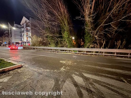 Viterbo - Albero crollata in via Genova, subito rimosso