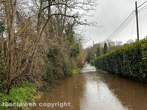 Viterbo - Strada Signorino come un fiume