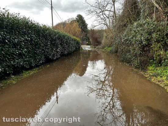 Viterbo - Strada Signorino come un fiume