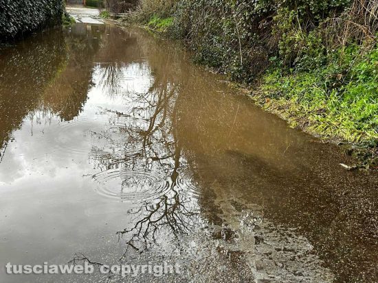 Viterbo - Strada Signorino come un fiume