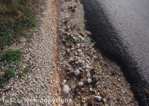 La strada provinciale che collega Corchiano a Gallese