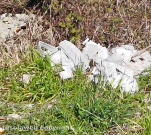 Rifiuti, incuria e parcheggi selvaggi al Bullicame