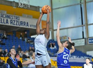 Imuentinyan delle Ants Basket