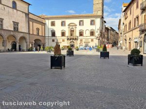 Viterbo - I vasi a piazza del Comune