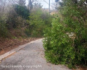 Strada Palanzana nell'abbandono