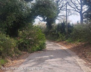Strada Palanzana nell'abbandono
