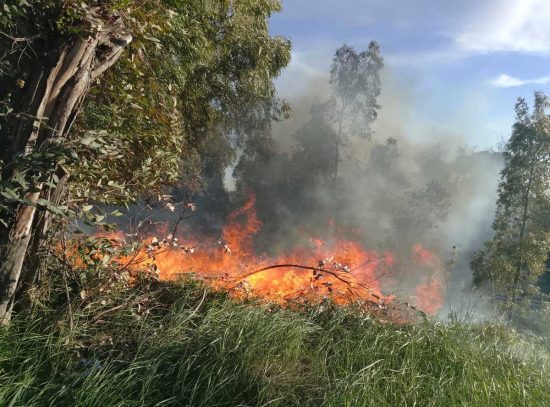 Incendio