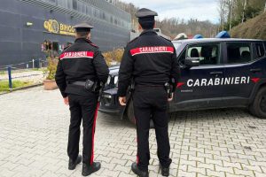Colleferro - Cane chiuso in auto - L'intervento dei carabinieri
