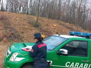 Carabinieri forestali