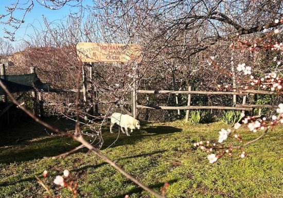 Il parco Anthaia
